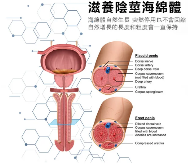 企业微信截图_17463548636069.png